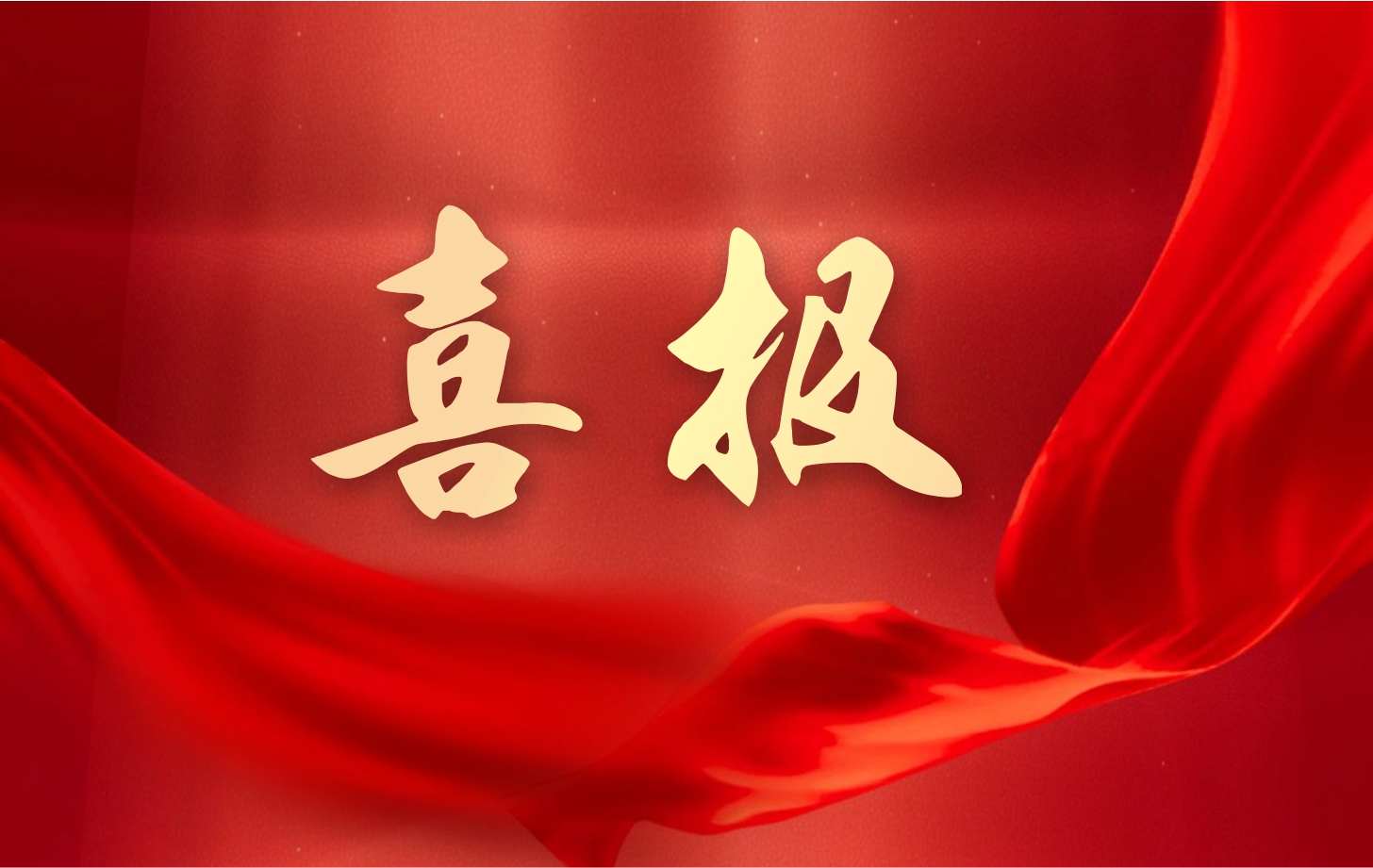營收凈利雙增長！依頓電子2025年一季度經營業(yè)績續(xù)寫高質量發(fā)展華章